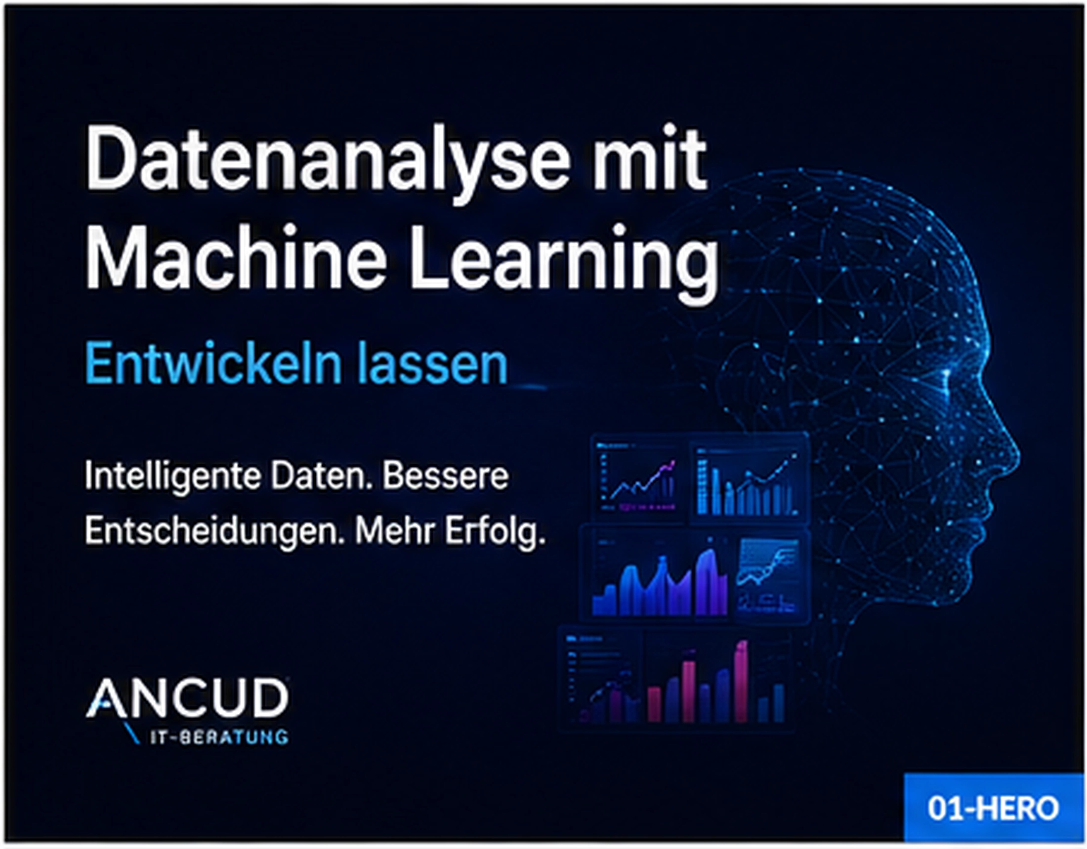Datenanalyse mit Machine Learning entwickeln lassen